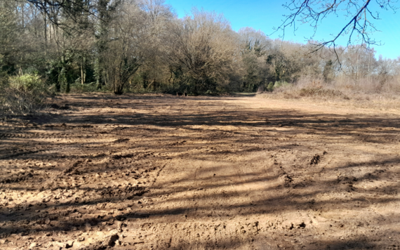 Heathlands ground area