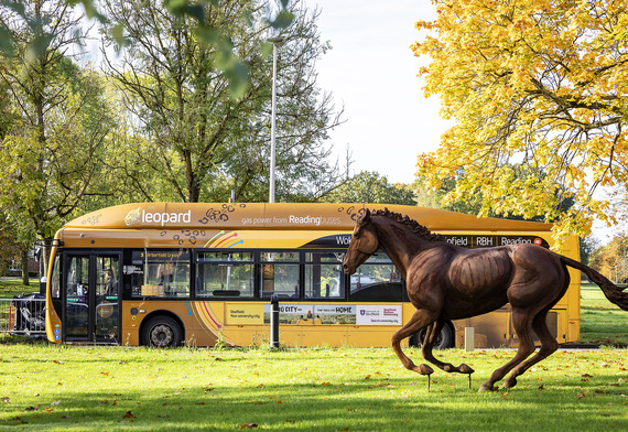 The leopard 3 bus passing through Arborfield Green, with a bronze horse statue appearing to run alongside it