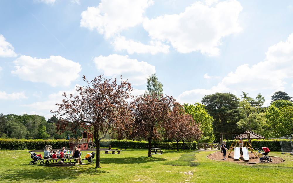 Family seating area amid the trees at California Country Park