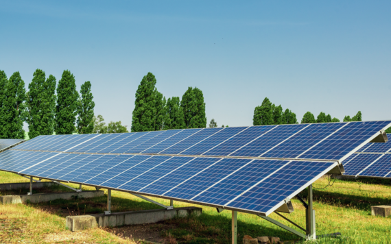 Barkham Solar Farm