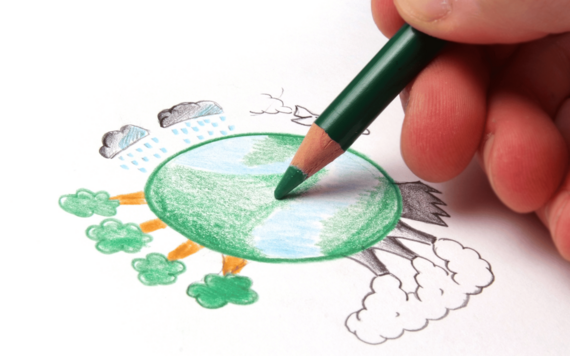 Forest of Imagination