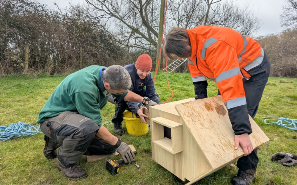 Countryside team work with partners to build and put up new barn owl boxes