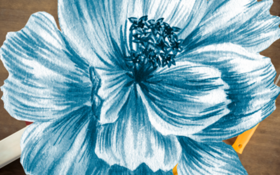A close up pencil drawing of a blue flower