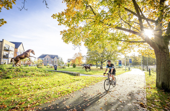 a man cycling through a wooded area at sunset, with sunlight streaming through the branches and leaves
