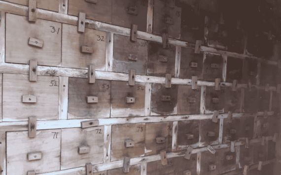 Bird box nests for sand martins