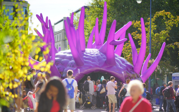 Forest of Imagination