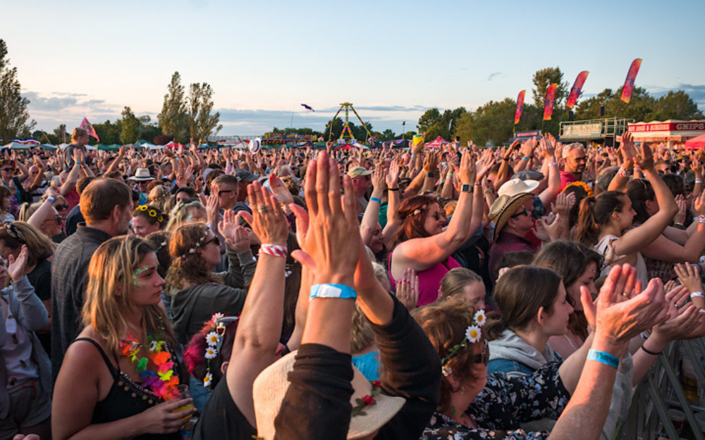 Hundreds of people dancing with arms in the air at Marvellous Festival