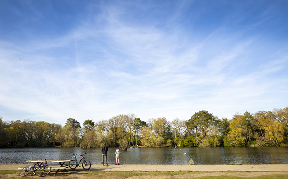 View over lake at California Country Park