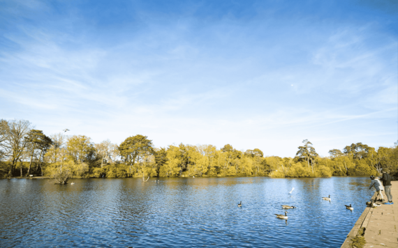 Lake at California Country Park