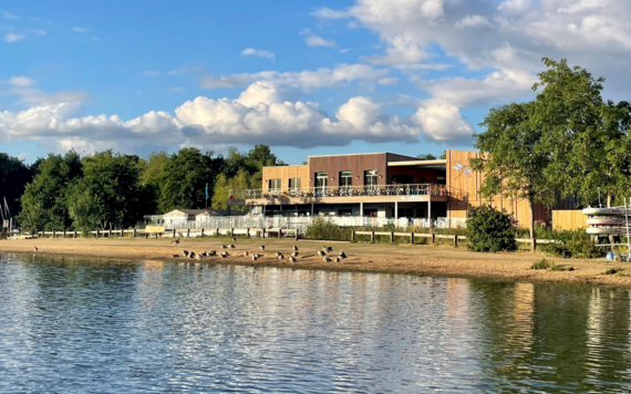 Dinton Pastures black swan lake view