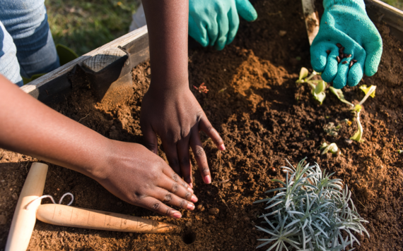 Children's hands in the soil planting