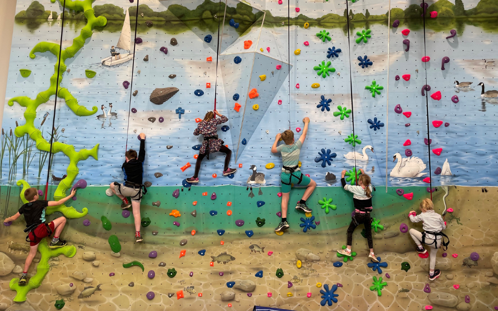 Children on a climbing wall