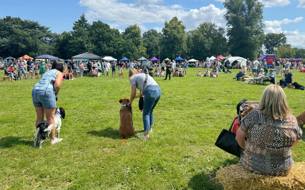 Dog show taking place at SAFE Family Funday