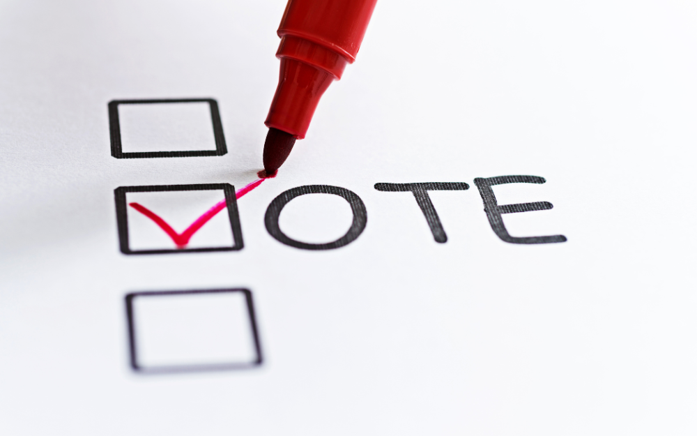 general view voter ticking ballot paper