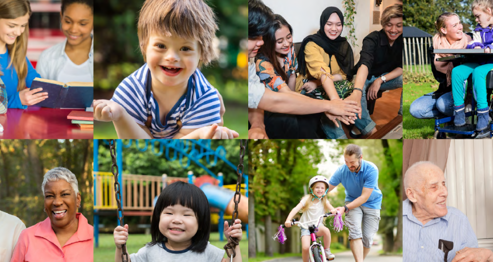 image for community directory