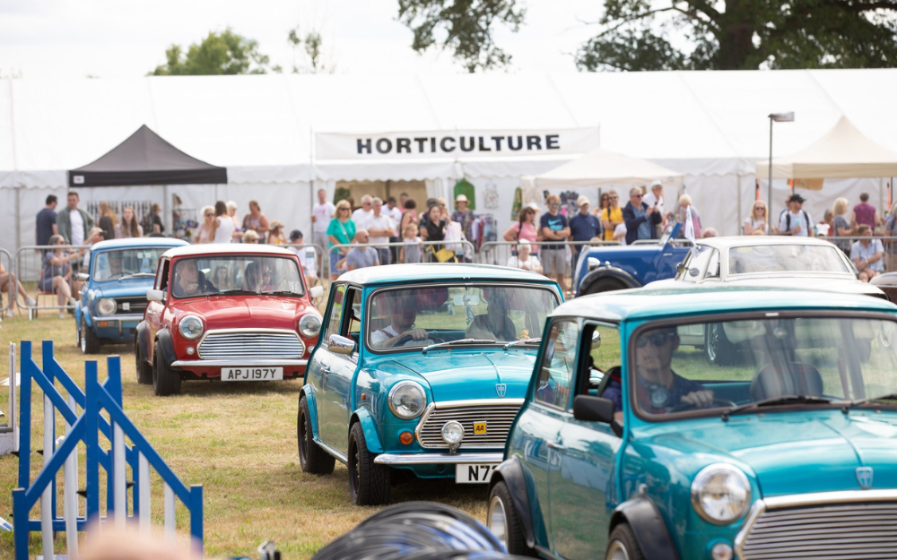 Vintage cars at swallowfield show