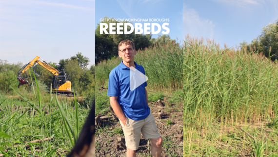 A collage of images showing a man in front of reedbeds, plant equipment and reedbeds