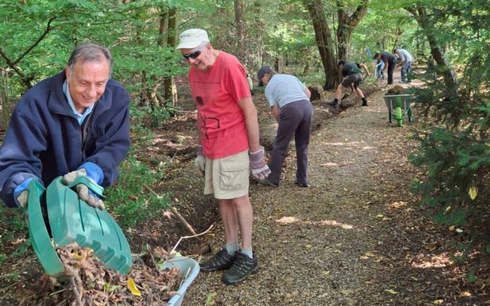 A group of volunteers clear a gully in woodland