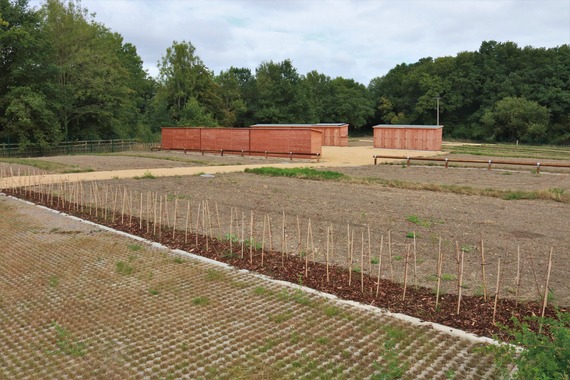 a new allotment site still waiting to be planted, with rows marked out and storage sheds in the background