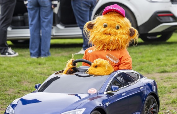 close-up of a furry orange puppet sitting inside a dark blue miniature remote controlled car on a field in Wokingham town centre