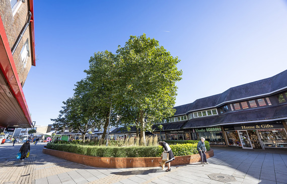 the shopping precinct at Woodley, focusing on the planted area in the centre with four trees and shops on either side