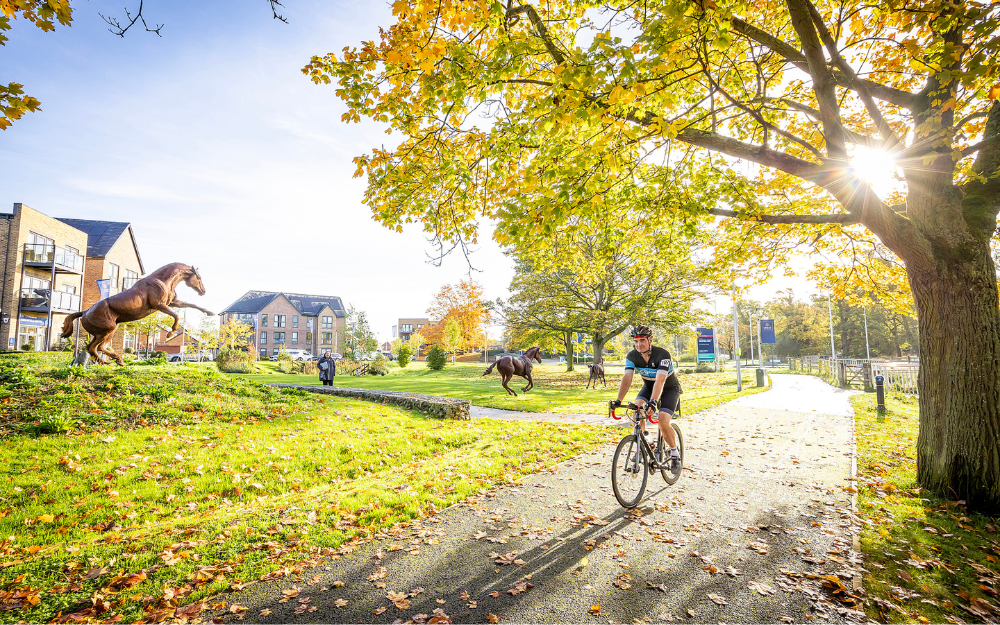 Someone cycling through a park in Wokingham Borough