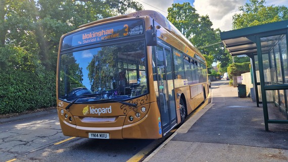 a bus with 3 Wokingham on the front and a leopard print on the side pulls up at a rural bus stop in Finchampstead