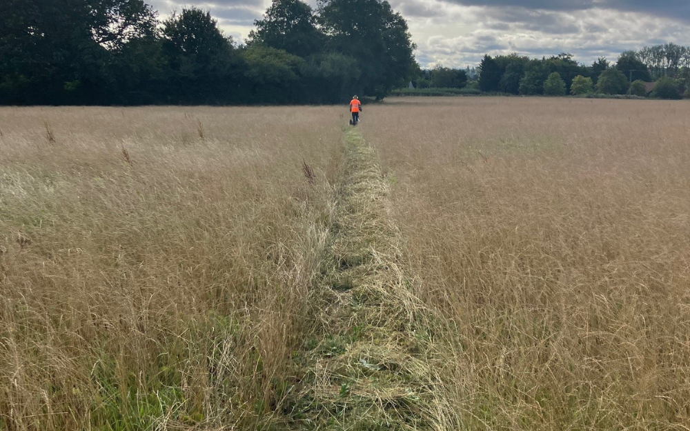 A man with a pedestrian mower conducting Public Rights of Way Cutting in a field