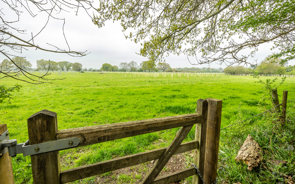 covid memorial woodland general view 2