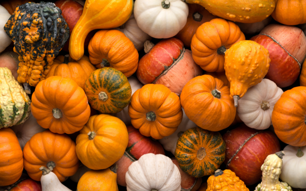 A colourful pile of pumpkins and gourds in orange, white and green, with varied shapes and textures filling the frame.