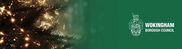 Environment News - festive