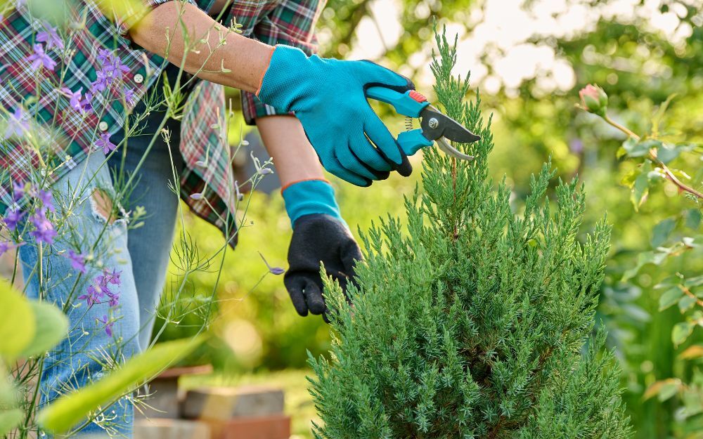Garden waste