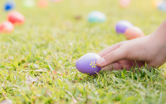 Easter eggs in a field, a purple one picked