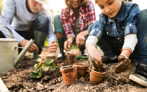 Children placing small plants into the ground