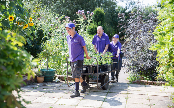 Thrive volunteers
