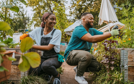 Man and woman gardening