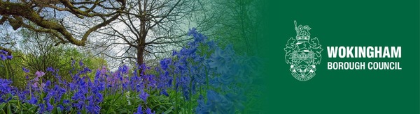 A floor-level perspective of bluebells and a woodland scene with the Wokingham Borough Council logo