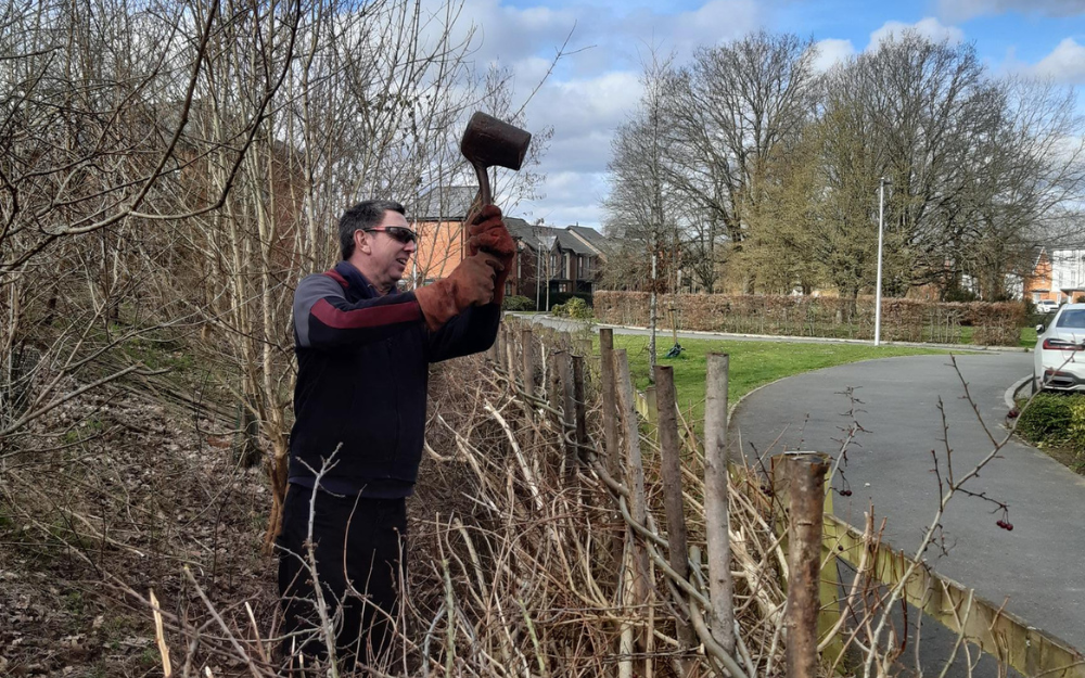 A man with a tool in his hand swings at a hedgerow, residential street in the background