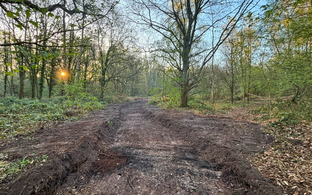 An accessible path in progress through California Country Park woodland, linking to the Covid Memorial Woodland.