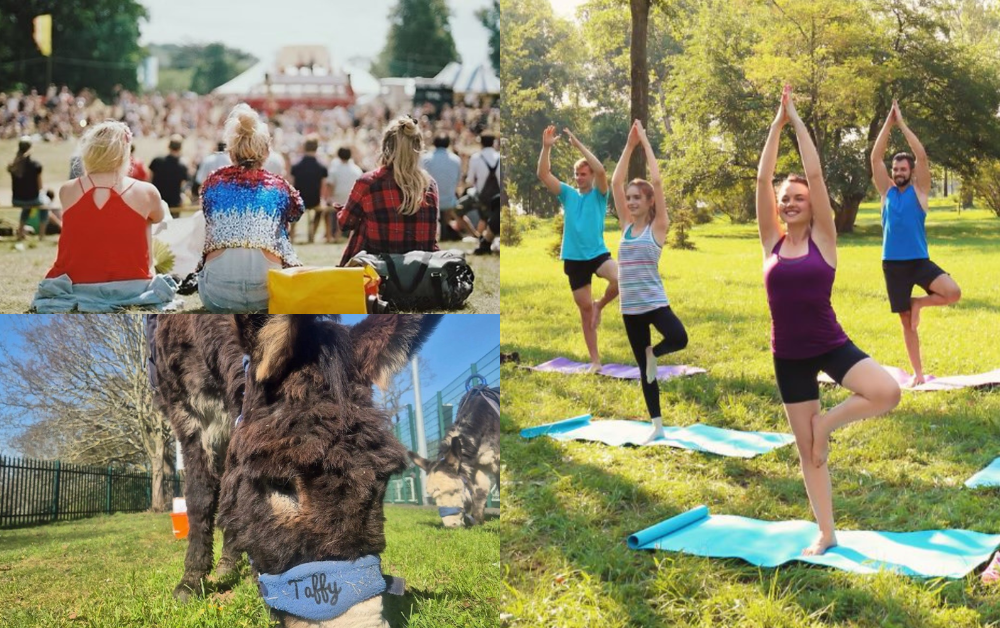 Collage of three events - spring, yoga and music