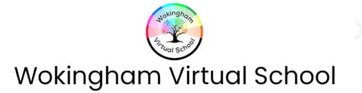 Virtual school