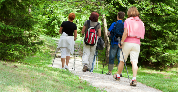 a group of women enjoying Nordic walking with poles through a wooded area