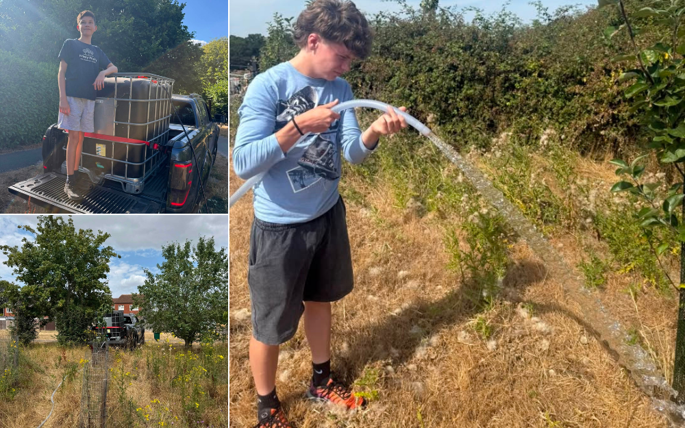 Collage showing volunteers testing a solar-powered irrigation system for community growing.