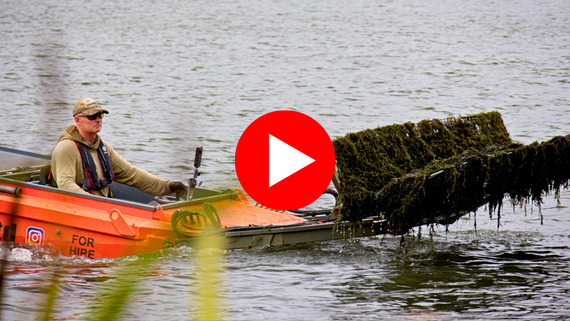 Video thumbnail showing a weed-cutting boat removing aquatic plants from a lake at Dinton Pastures.