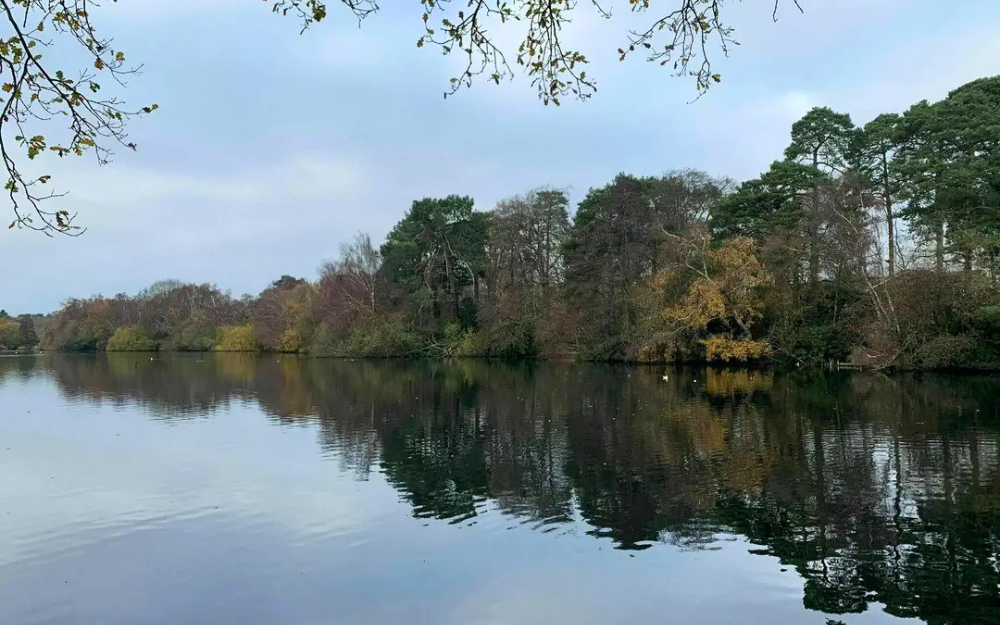 South Lake looking calm, surrounded by trees, with reflections on the water beneath an overcast sky.