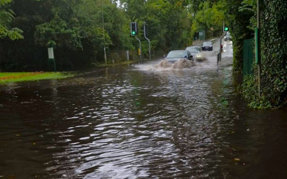 A flooded road in the foreground, with cars driving into it in the background