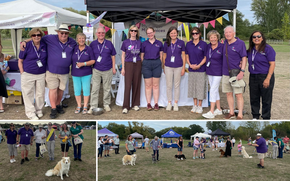 My Cancer My Choices dog show. Volunteers and participants with their dogs.