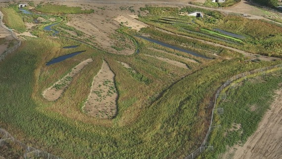 Nature park progress