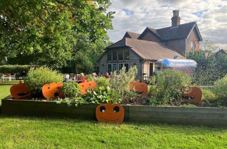 Painted pumpkin cut-outs are nestled amongst an autumnal flowerbed with the Dinton Pastures cafe in the background.