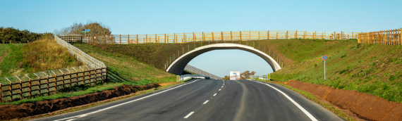 the green bridge at Observer Way near Arborfield, with its slopes planted entirely with grass and other plants